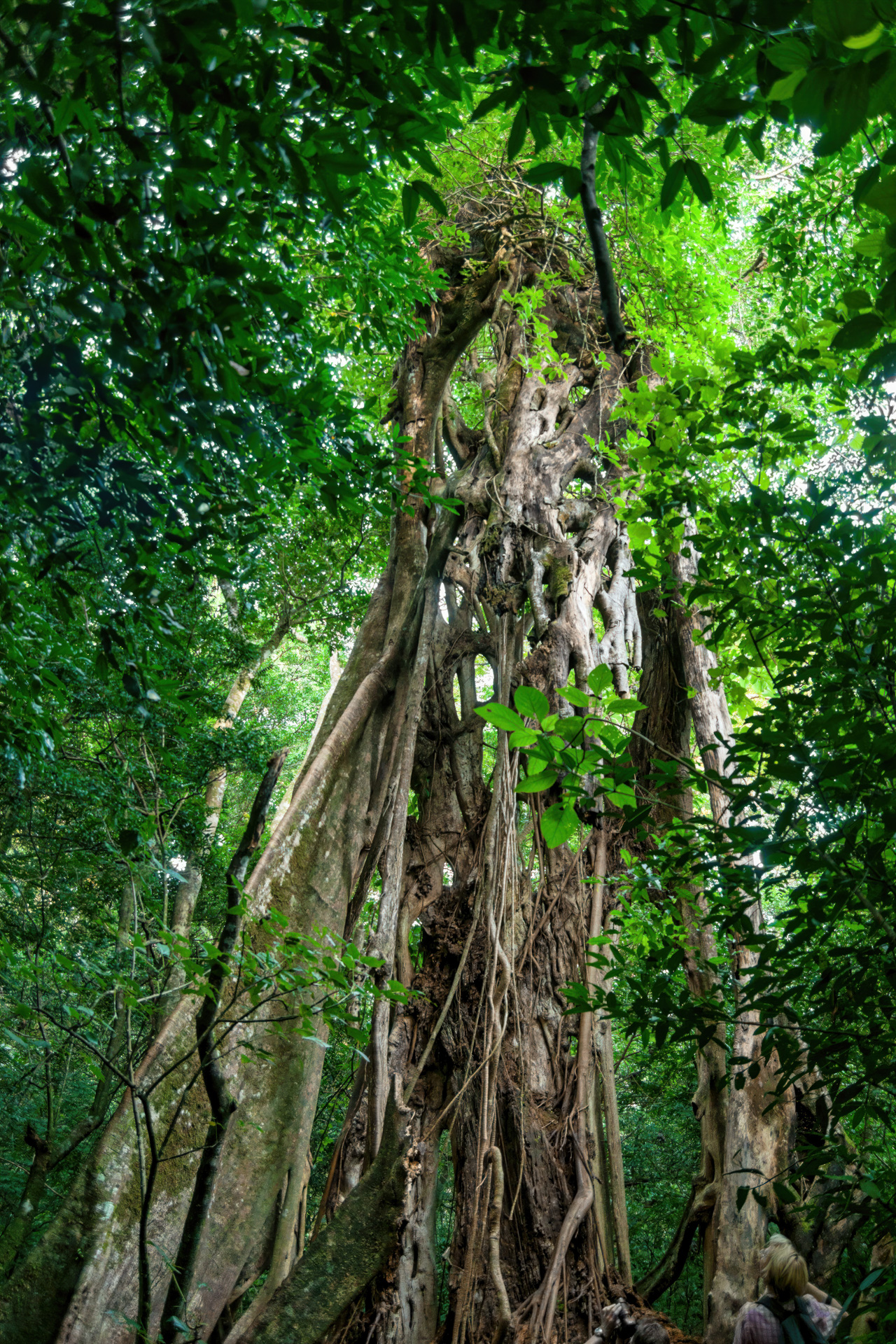 Der schleichende Tod ist vollzogen